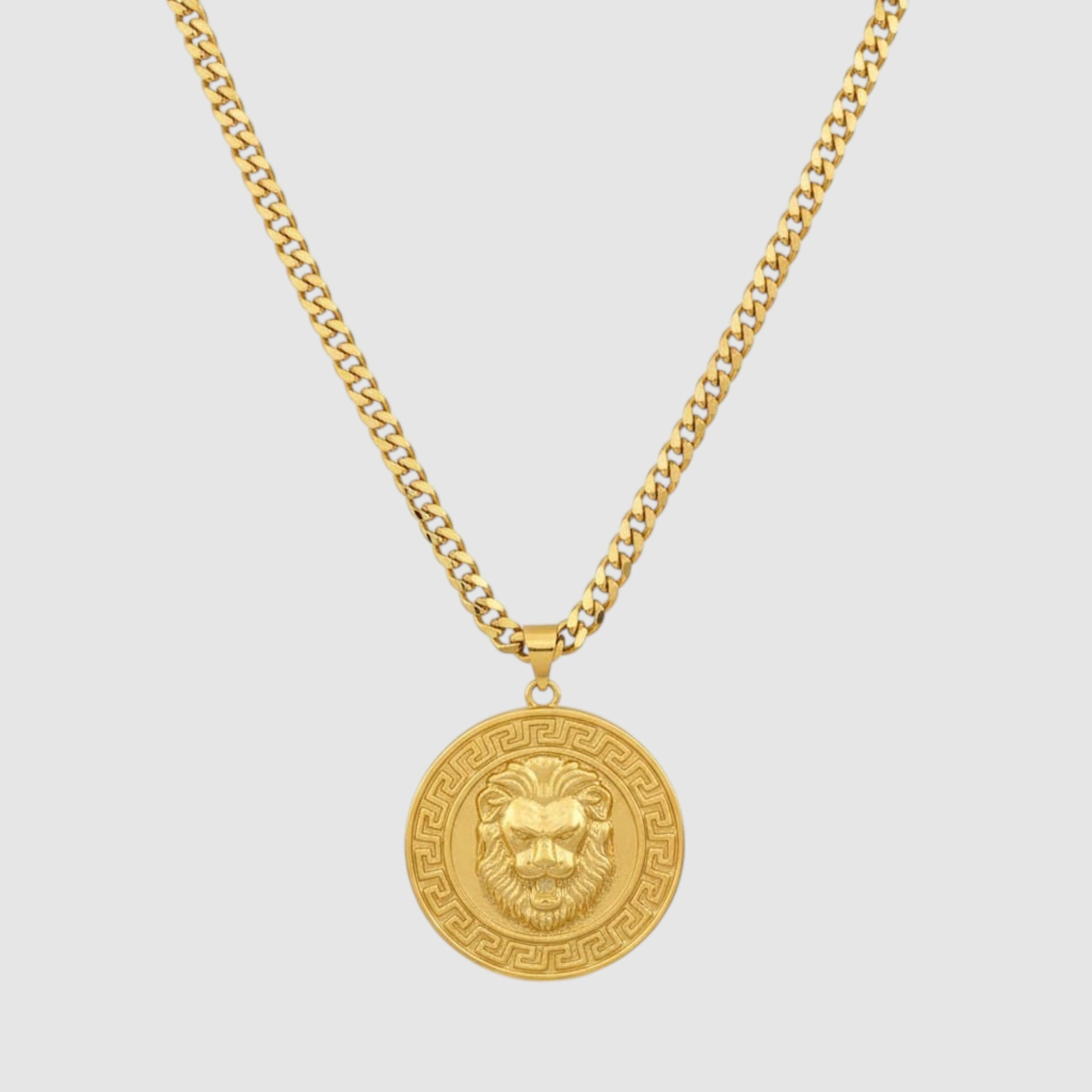 Cadena en Oro Laminado 14K con Dije Redondo Cabeza de Leon