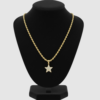 Cadena Torcida con Dije de Estrella en Oro Laminado 14K