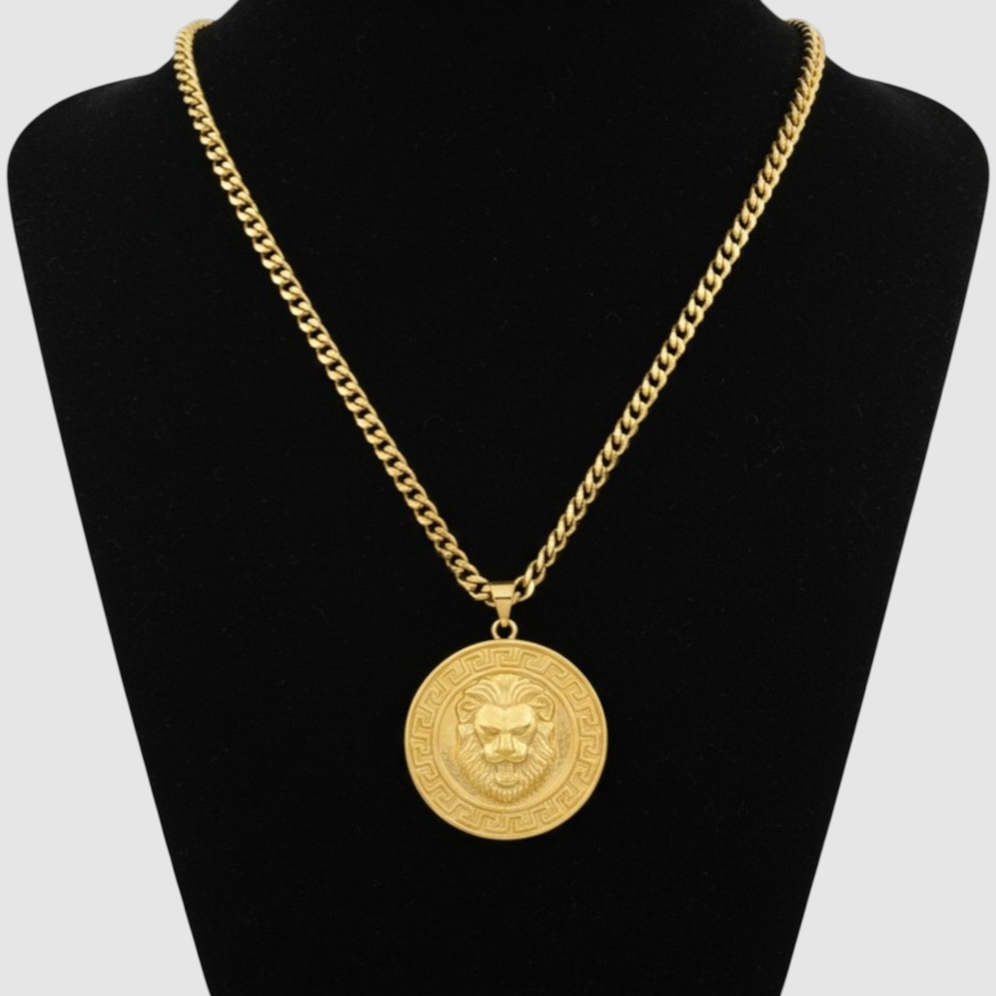 Cadena en Oro Laminado 14K con Dije Redondo Cabeza de Leon